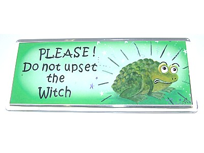 Please! Do Not Upset the Witch Magnet